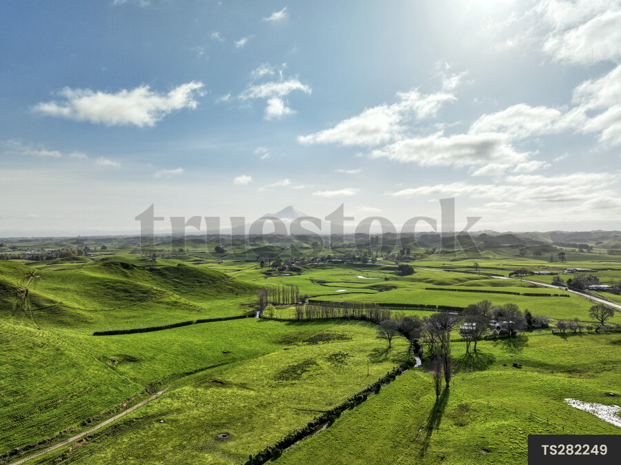 Rolling green whenua of Taranaki with Mt Taranaki in the distance